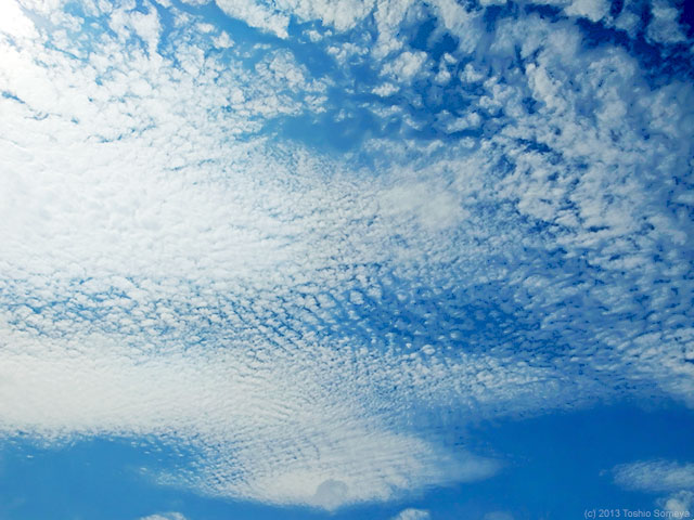 高い空