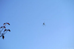 開店休業 開店休業