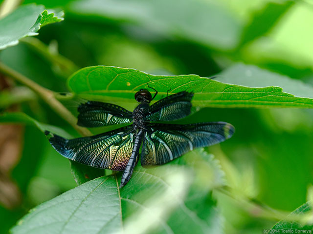 冴えない空の下