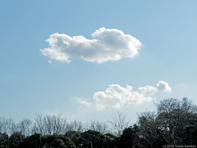 空にぽっかり春の雲