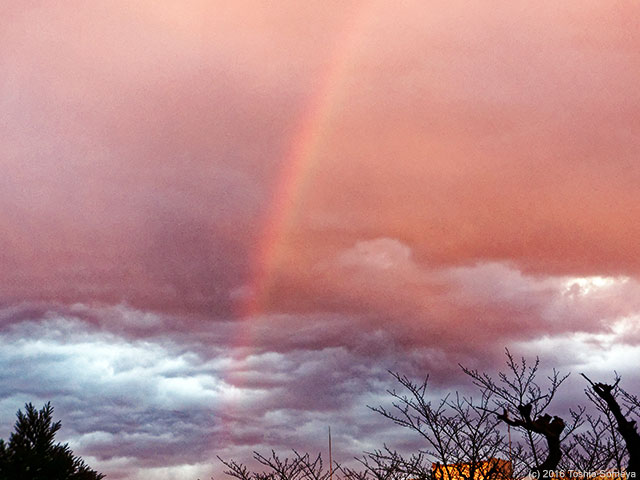 師走の空にかかる虹