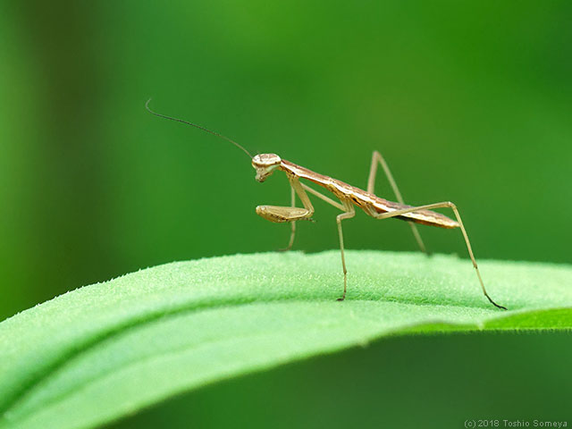 今季初遭遇続々・・