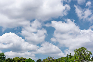 目まぐるしく変わる空・・