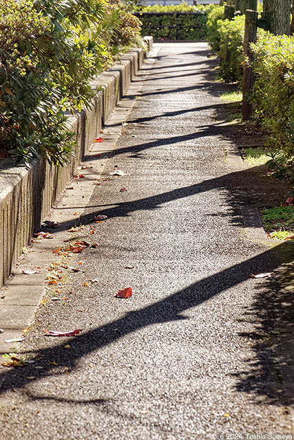 きびしい時期に・・