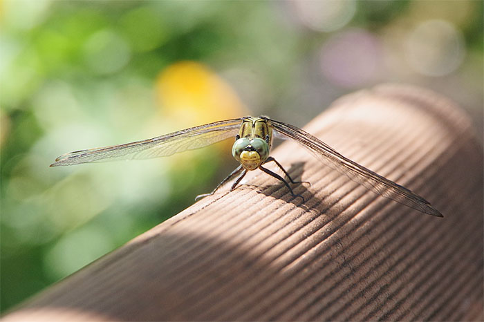 無理するんじゃないよ・・