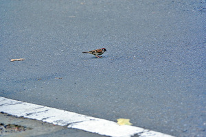 あと もう一歩・・