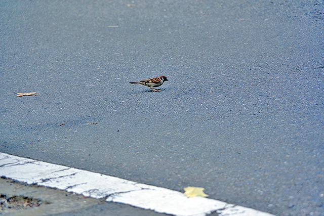 あと もう一歩・・