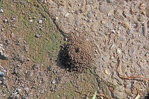 ぽつんと丸い穴が・・ ぽつんと丸い穴が・・