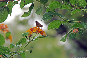 晴れるといいね・・
