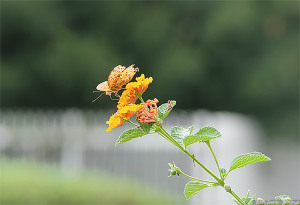 曇り空の下でも・・