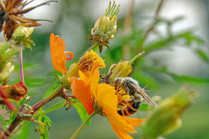 ガンバってね。