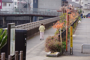 この先 当分の間は・・