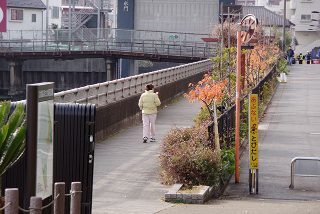 この先 当分の間は・・