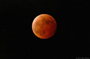 東の空に赤い月