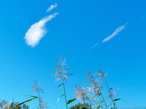 台風一過の空の下
