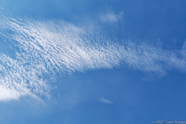 秋の訪れ近しを感じさせる雲