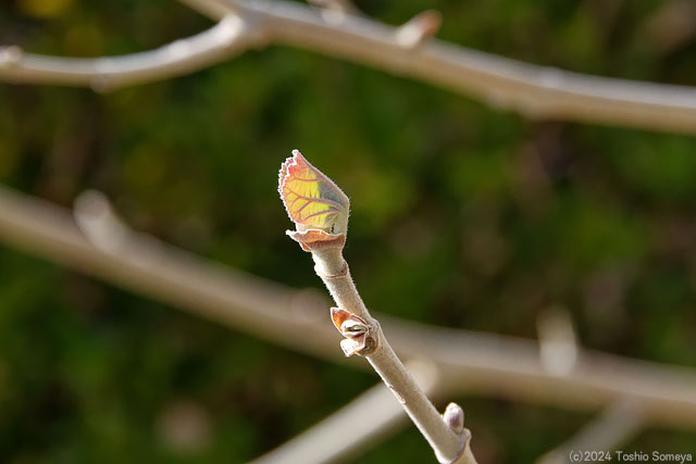 頑張ってねって・・