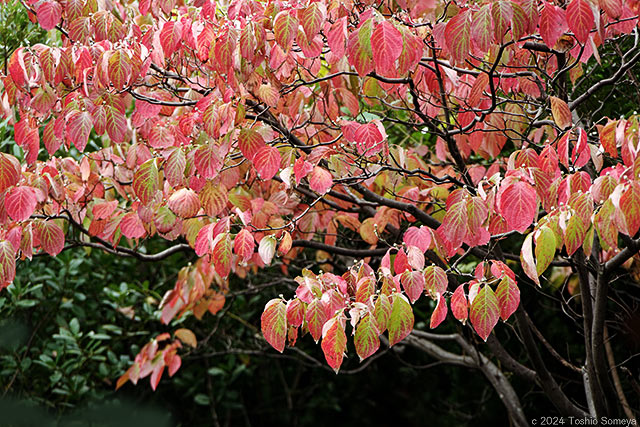 そんな空の下でも・・